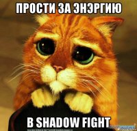 прости за энэргию в shadow fight