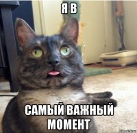 я в самый важный момент