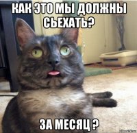 как это мы должны сьехать? за месяц ?