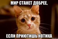 мир станет добрее, если приютишь котика