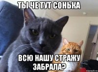 ты че тут сонька всю нашу стражу забрала?