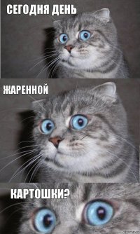 СЕГОДНЯ ДЕНЬ ЖАРЕННОЙ КАРТОШКИ?