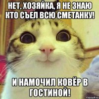 нет, хозяйка, я не знаю кто съел всю сметанку! и намочил ковёр в гостиной!