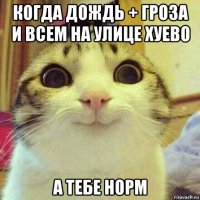 когда дождь + гроза и всем на улице хуево а тебе норм