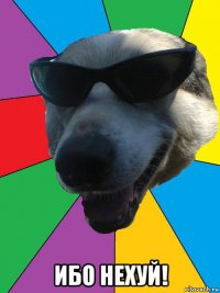  ибо нехуй!