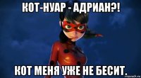 кот-нуар - адриан?! кот меня уже не бесит.