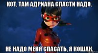 кот, там адриана спасти надо. не надо меня спасать, я кошак.