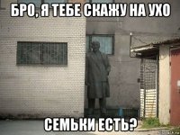 бро, я тебе скажу на ухо семьки есть?