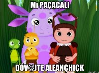 mı paçacali döv@jte aleançhiçk