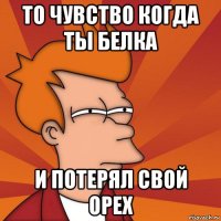 то чувство когда ты белка и потерял свой орех