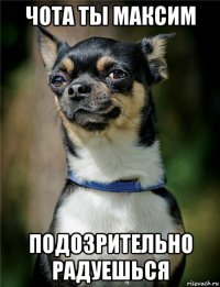 чота ты максим подозрительно радуешься