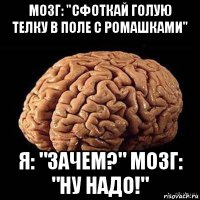 мозг: "сфоткай голую телку в поле с ромашками" я: "зачем?" мозг: "ну надо!"