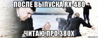 после выпуска rx-480 читаю про 380x