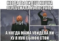 когда ты видеш кошка перебежала ну посрать! а когда мама увидела ни ху я нук сынок стой