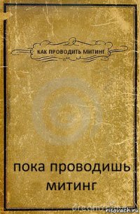 КАК ПРОВОДИТЬ МИТИНГ пока проводишь митинг