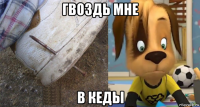 гвоздь мне в кеды