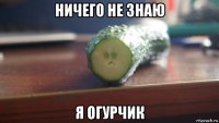 ничего не знаю я огурчик