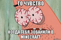 то чувство когда тебя зобанили в minecraft