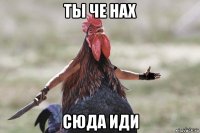 ты че нах сюда иди