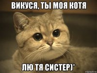 викуся, ты моя котя лю тя систер)*