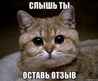 слышь ты оставь отзыв