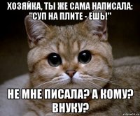 хозяйка, ты же сама написала: "суп на плите - ешь!" не мне писала? а кому? внуку?