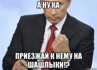 а ну ка приезжай к нему на шашлыки!?