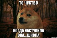 то чуство когда наступила она....школа