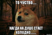 то чуство..... кагда на душе стает холодно........