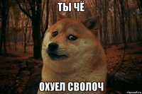 ты чё охуел сволоч