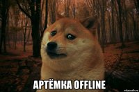  артёмка offline