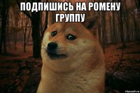 подпишись на ромену группу 