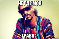 чё где моя трава ?
