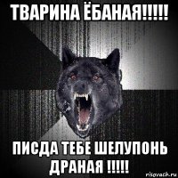 тварина ёбаная!!!!! писда тебе шелупонь драная !!!!!