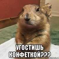  угостишь конфеткой???