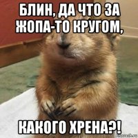 блин, да что за жопа-то кругом, какого хрена?!