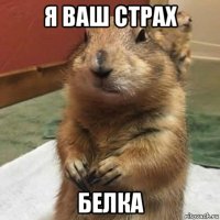 я ваш страx бeлка