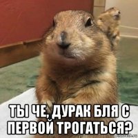  ты че, дурак бля с первой трогаться?