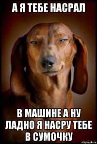 а я тебе насрал в машине а ну ладно я насру тебе в сумочку