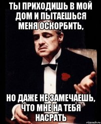 ты приходишь в мой дом и пытаешься меня оскорбить, но даже не замечаешь, что мне на тебя насрать