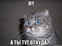 о!! а ты тут откуда?..