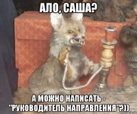 ало, саша? а можно написать - "руководитель направления"?))