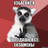 узбагойся ты здашь все екзамены