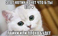 этот котик хочет что б ты его ♥ лайки или плохо будет