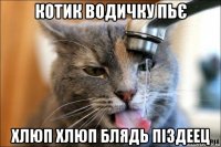 котик водичку пьє хлюп хлюп блядь піздеец