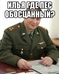 илья где пес обосцанный? 