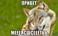 привет меееясшсееетьь