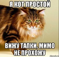 я кот простой вижу тапки, мимо не прохожу