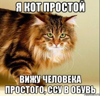я кот простой вижу человека простого, ссу в обувь