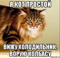 я кот простой вижу холодильник, ворую колбасу